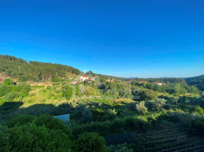 Quinta T3 para Venda em Figueiró dos Vinhos e Bairradas Foto 8