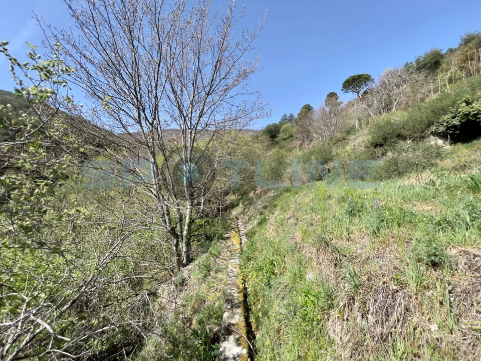 Armazém para Venda em Covilhã e Canhoso Foto 20