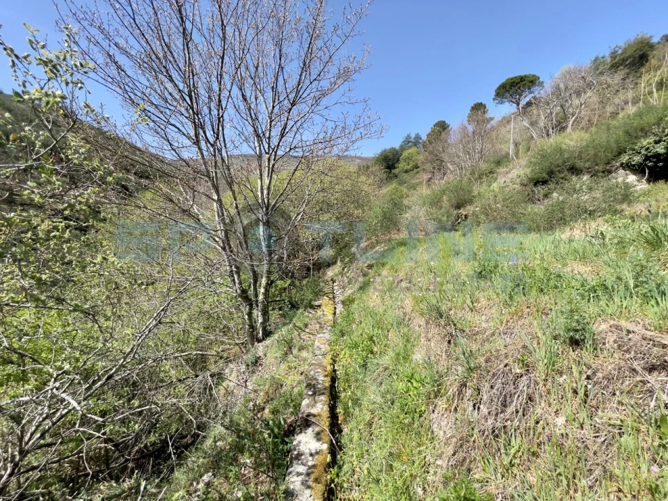 Armazém para Venda em Covilhã e Canhoso Foto 22