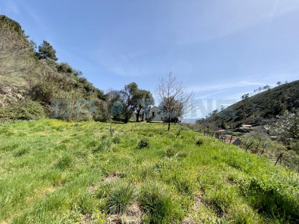 Armazém para Venda em Covilhã e Canhoso Foto 24