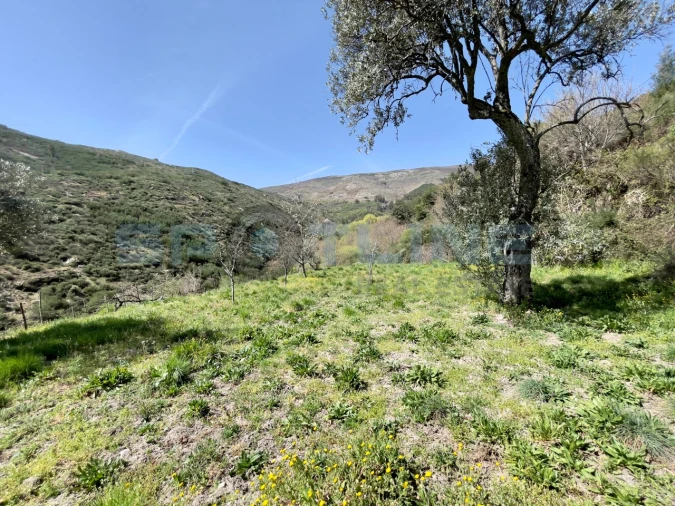 Armazém para Venda em Covilhã e Canhoso Foto 19