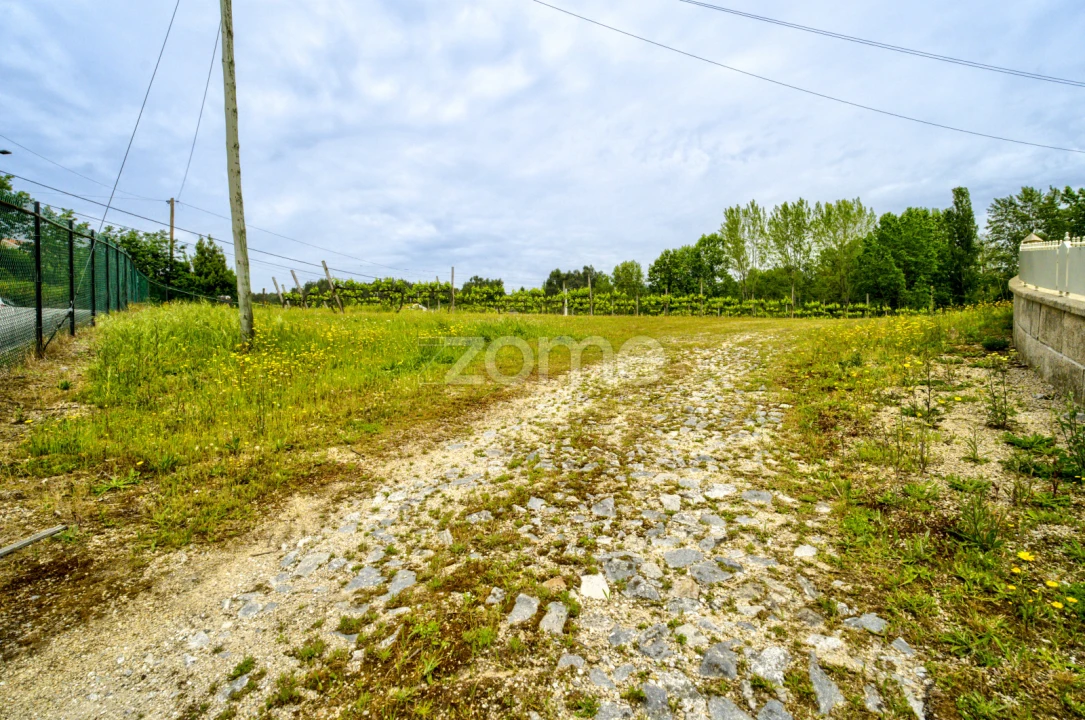 Terreno para Venda em Taide Foto 5