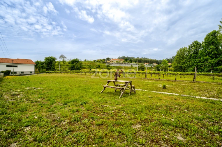 Terreno para Venda em Taide Foto 4