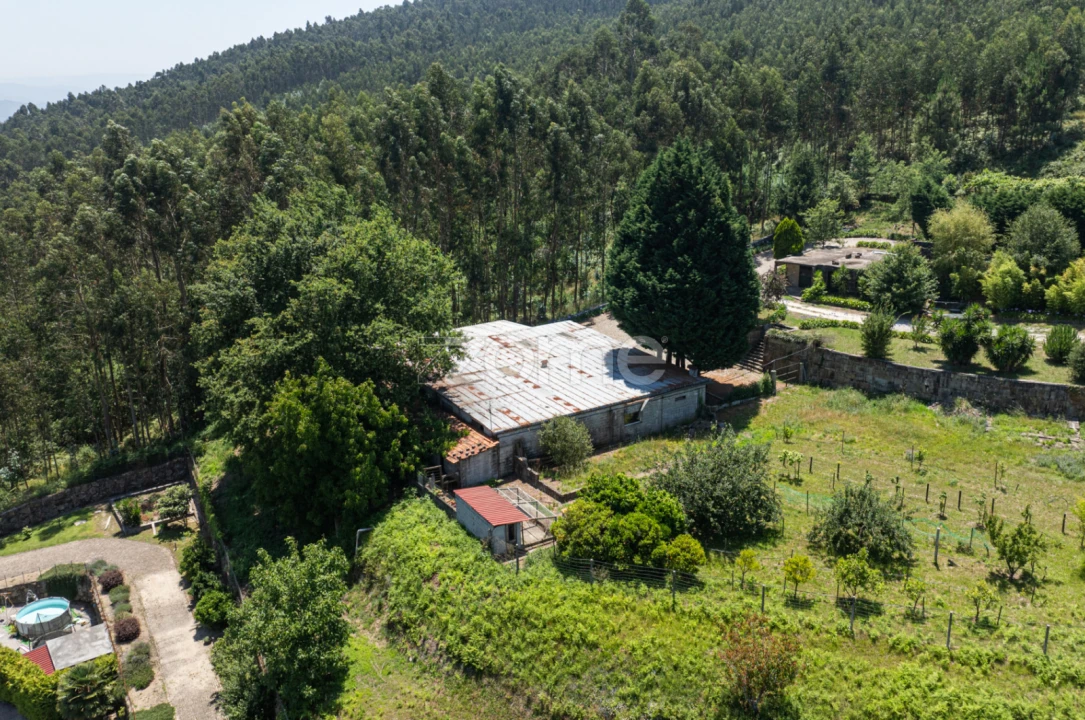 Quinta T5 para Venda em Penafiel Foto 52