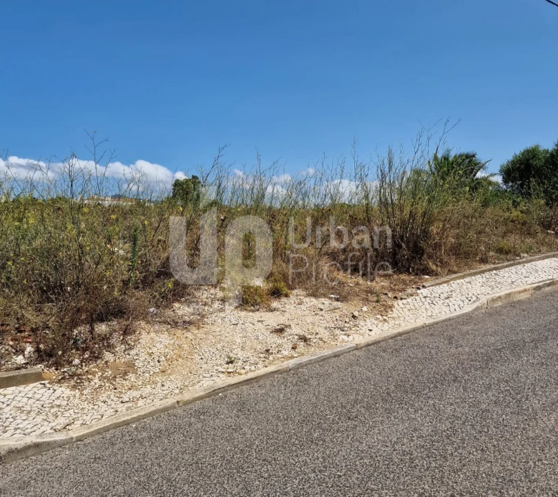 Terreno Agricola ou Rústico para Venda em Alcabideche Foto 2
