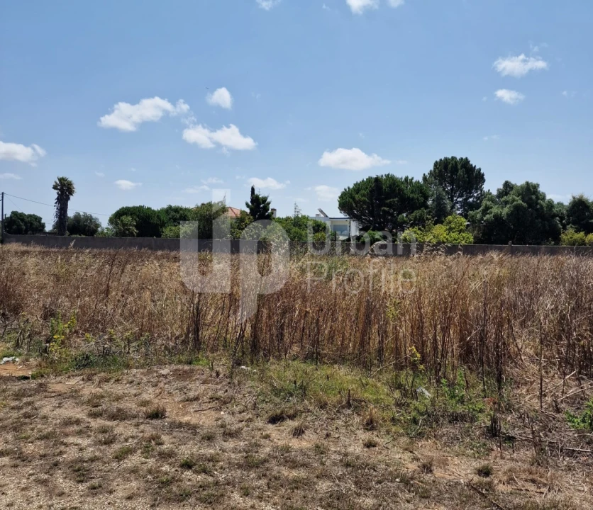 Terreno Agricola ou Rústico para Venda em Alcabideche Foto 6