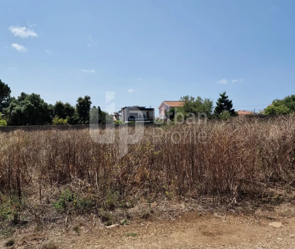 Terreno Agricola ou Rústico para Venda em Alcabideche Foto 5