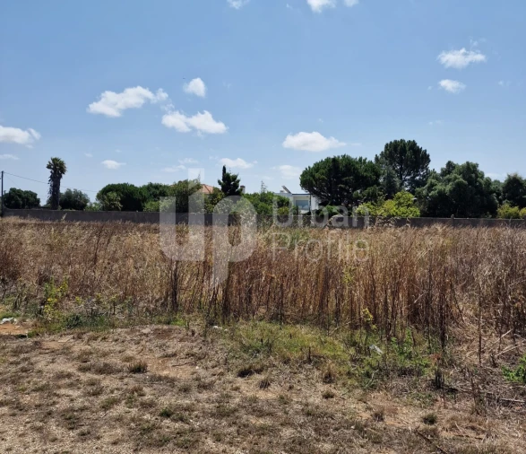Terreno Agricola ou Rústico para Venda em Alcabideche Foto 6