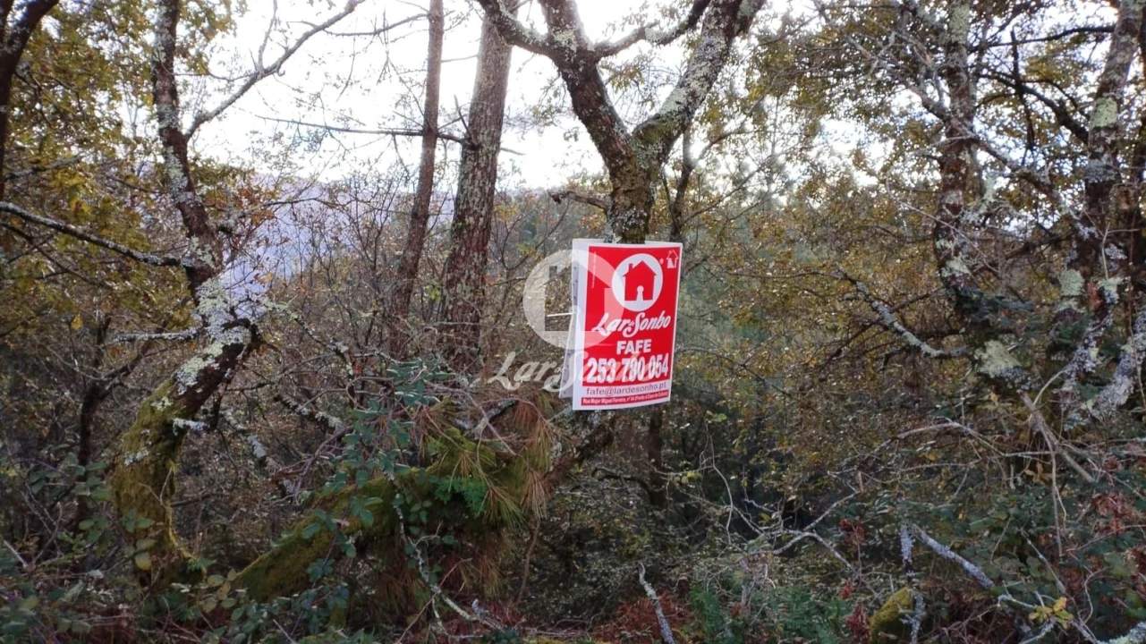 Terreno Agricola ou Rústico para Venda em Vilar da Veiga Foto 2