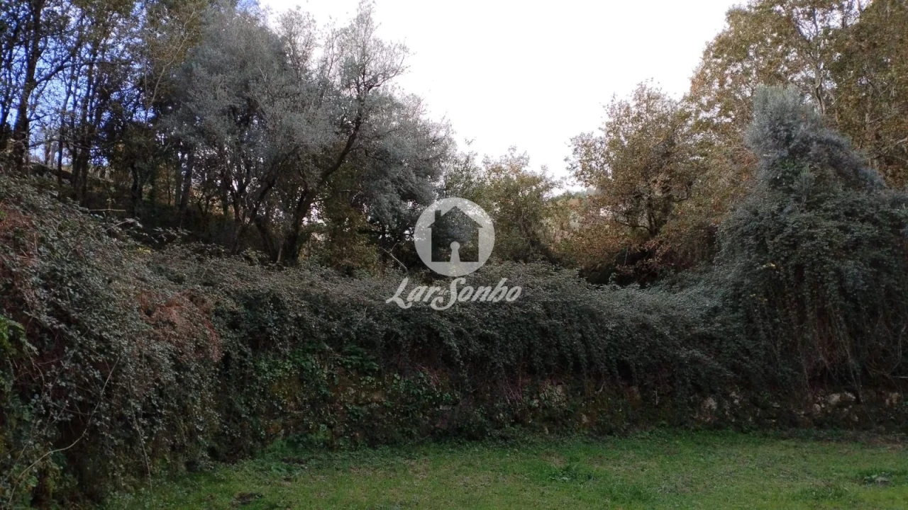 Terreno Agricola ou Rústico para Venda em Vilar da Veiga Foto 6