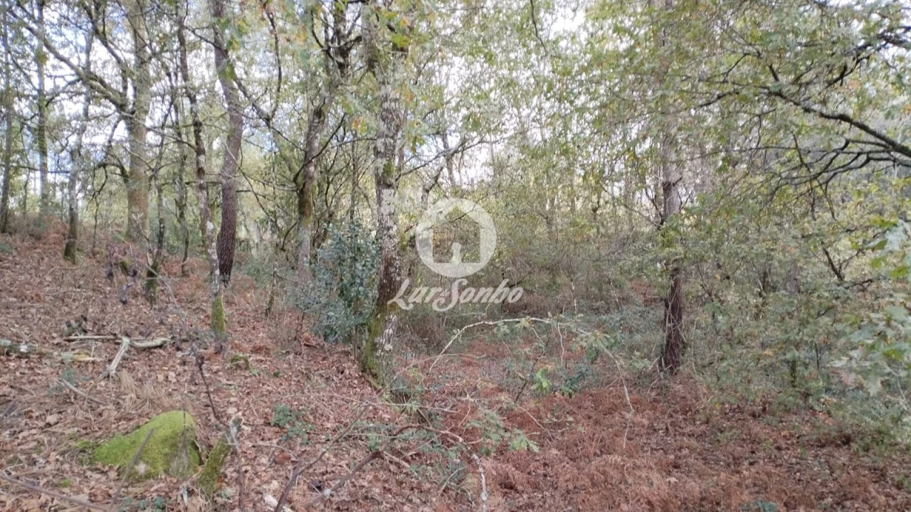 Terreno Agricola ou Rústico para Venda em Vilar da Veiga Foto 7
