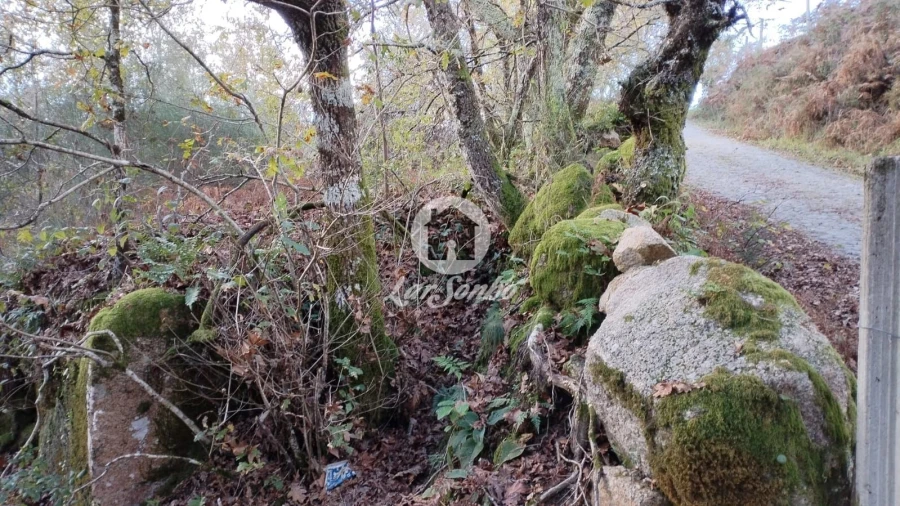 Terreno Agricola ou Rústico para Venda em Vilar da Veiga Foto 3