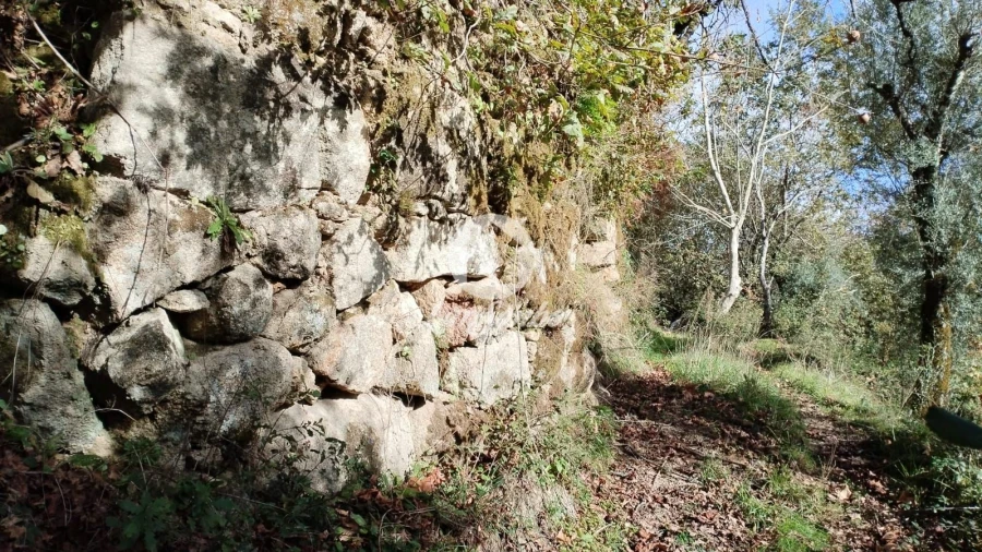 Terreno Agricola ou Rústico para Venda em Vilar da Veiga Foto 4