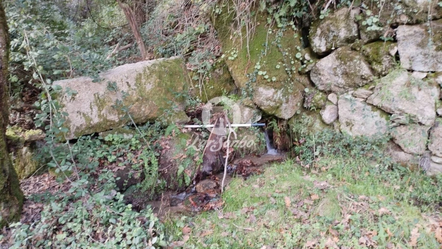 Terreno Agricola ou Rústico para Venda em Vilar da Veiga Foto 5