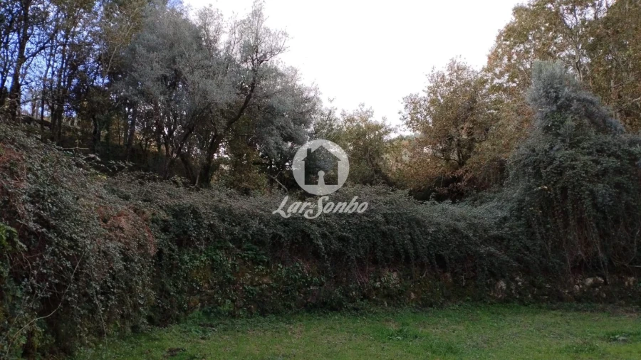 Terreno Agricola ou Rústico para Venda em Vilar da Veiga Foto 6