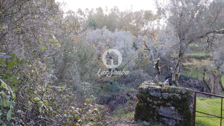 Terreno Agricola ou Rústico para Venda em Vilar da Veiga Foto 9