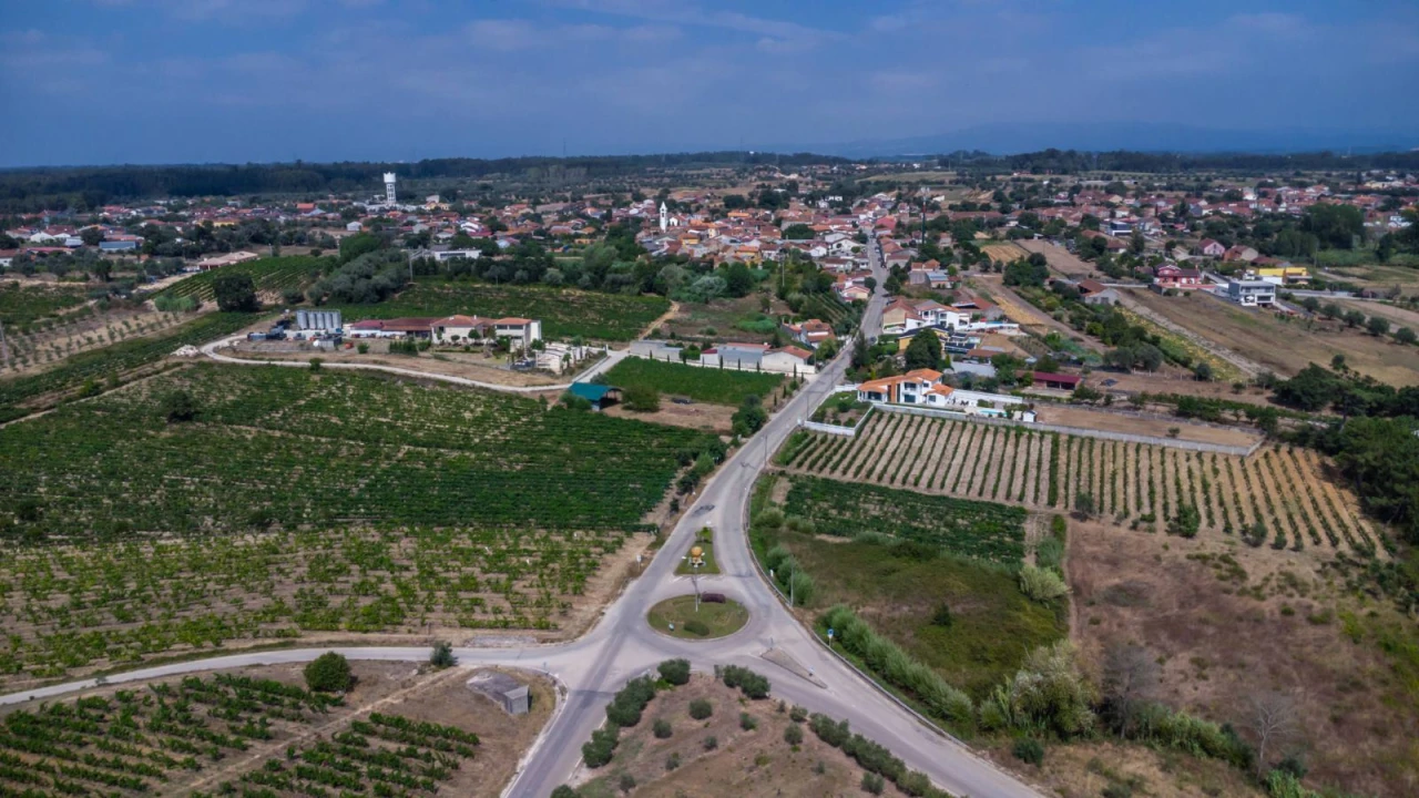 Moradia T1 para Venda em Cordinhã Foto 25