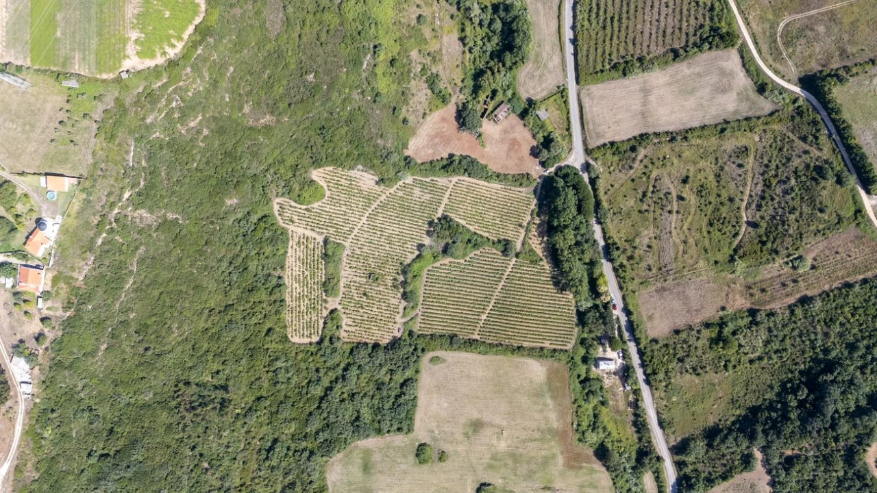 Terreno para Venda em Santo Quintino Foto 9