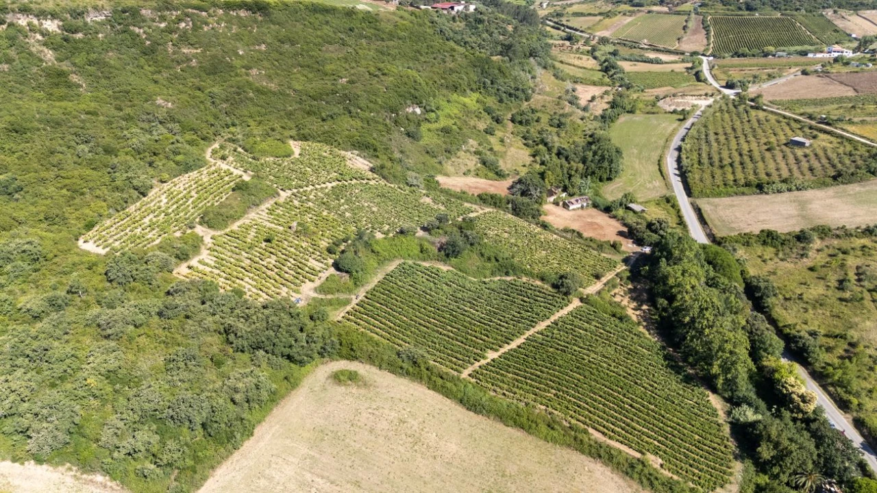 Terreno para Venda em Santo Quintino Foto 6