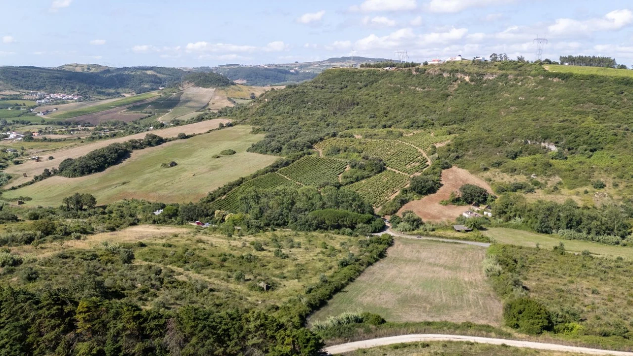 Terreno para Venda em Santo Quintino Foto 4
