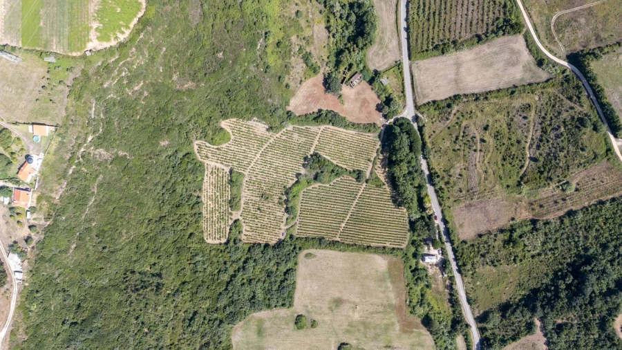 Terreno para Venda em Santo Quintino Foto 9