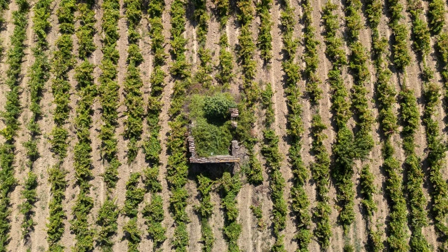 Terreno para Venda em Santo Quintino Foto 14