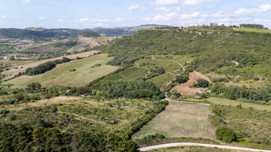 Terreno para Venda em Santo Quintino Foto 4