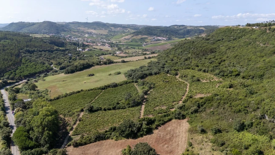 Terreno para Venda em Santo Quintino Foto 12