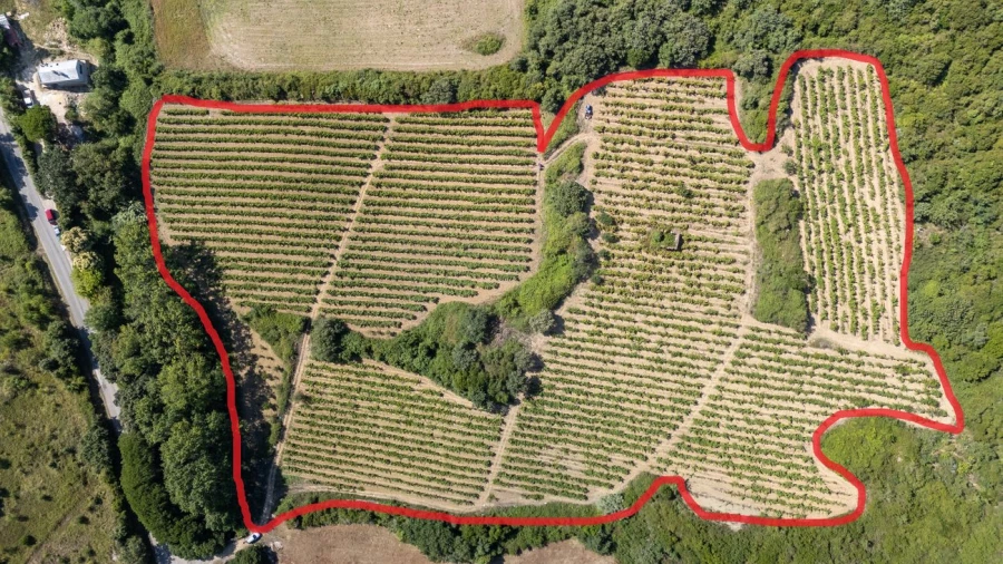 Terreno para Venda em Santo Quintino Foto 1