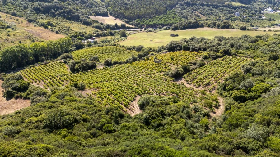 Terreno para Venda em Santo Quintino Foto 19