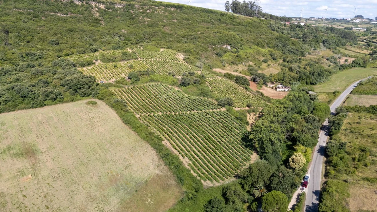 Terreno para Venda em Santo Quintino Foto 2