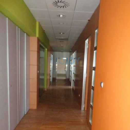 Escritório para Arrendamento em Montijo e Afonsoeiro Foto 12