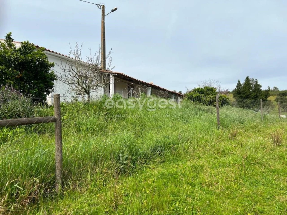 Quinta T2 para Venda em São Martinho das Amoreiras Foto 3