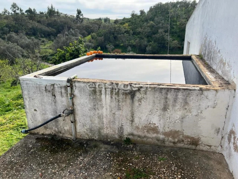 Quinta T2 para Venda em São Martinho das Amoreiras Foto 18