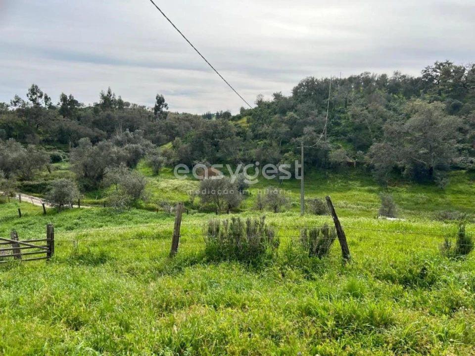 Quinta T2 para Venda em São Martinho das Amoreiras Foto 24