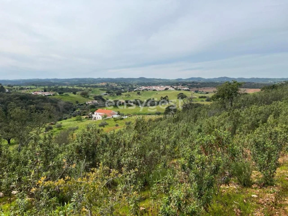 Quinta T2 para Venda em São Martinho das Amoreiras Foto 29