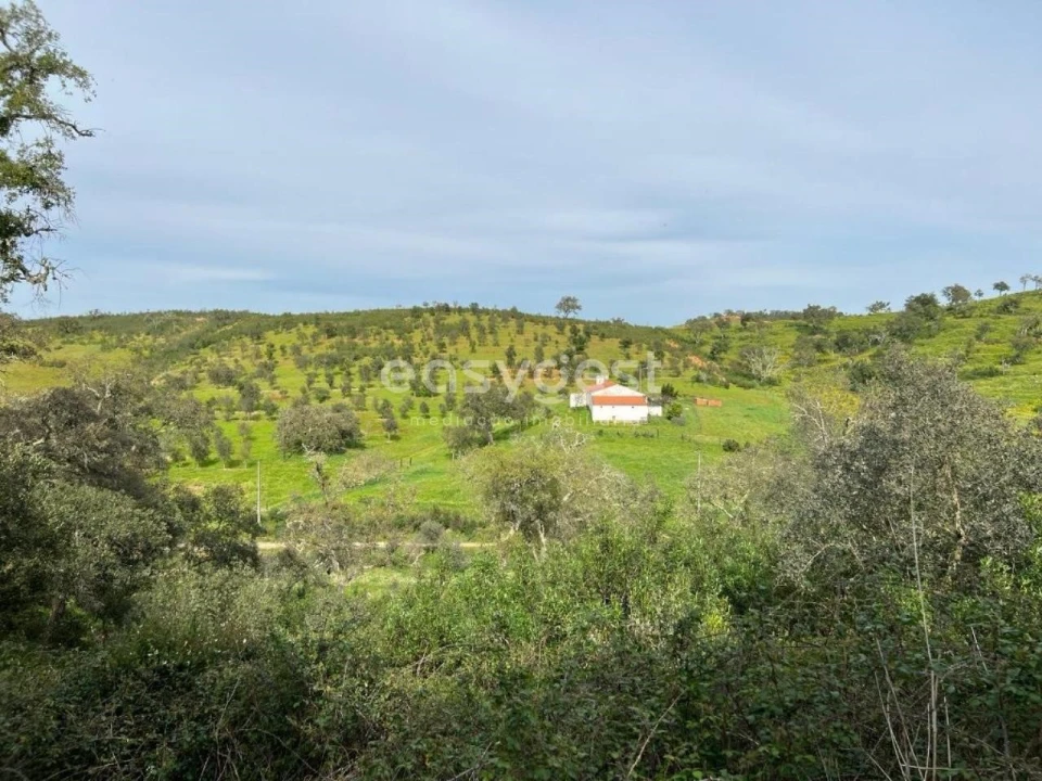 Quinta T2 para Venda em São Martinho das Amoreiras Foto 30