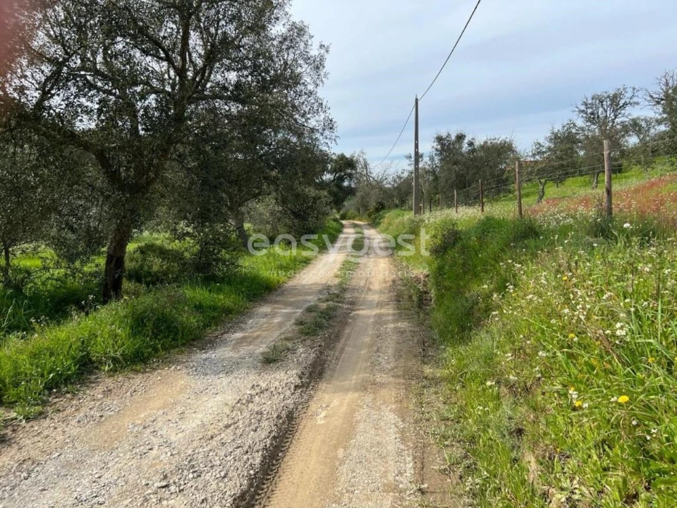 Quinta T2 para Venda em São Martinho das Amoreiras Foto 32