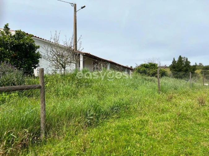 Quinta T2 para Venda em São Martinho das Amoreiras Foto 4