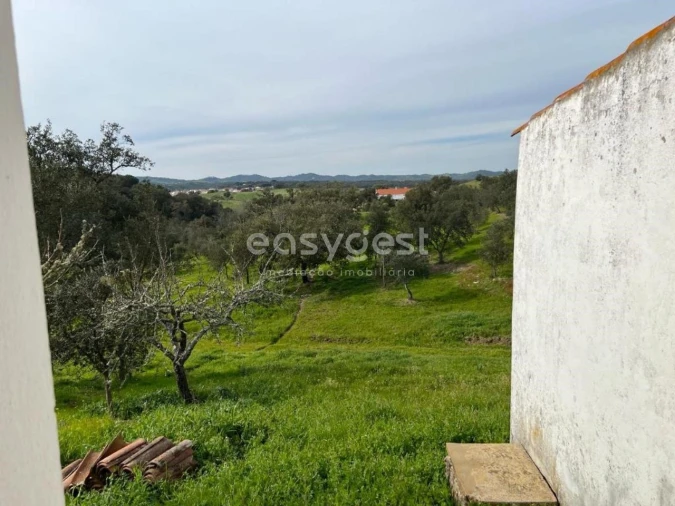 Quinta T2 para Venda em São Martinho das Amoreiras Foto 6