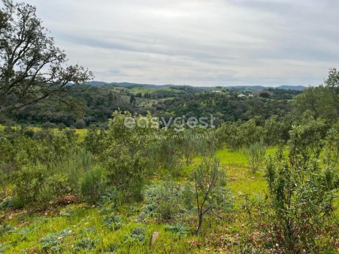 Quinta T2 para Venda em São Martinho das Amoreiras Foto 19