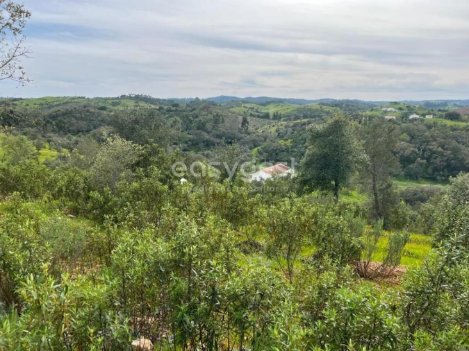 Quinta T2 para Venda em São Martinho das Amoreiras Foto 21
