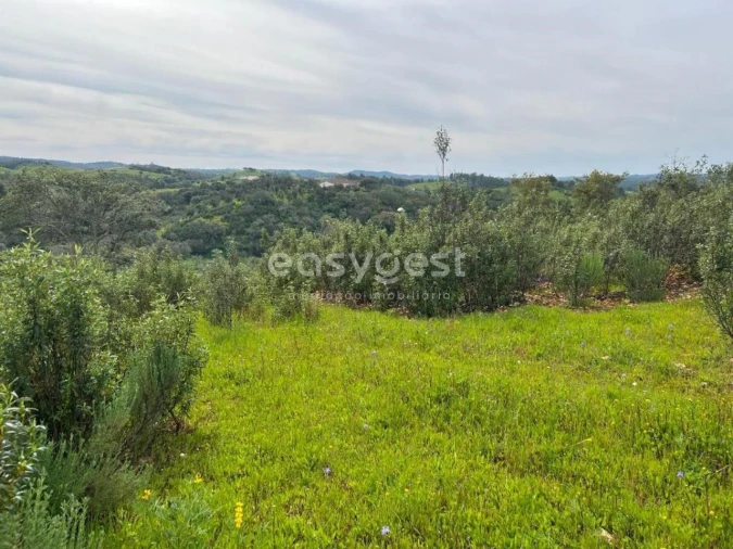 Quinta T2 para Venda em São Martinho das Amoreiras Foto 23