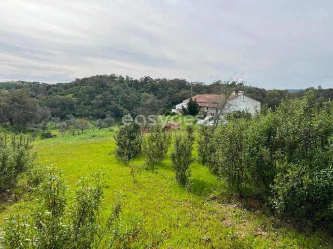 Quinta T2 para Venda em São Martinho das Amoreiras Foto 25