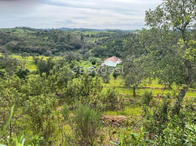 Quinta T2 para Venda em São Martinho das Amoreiras Foto 28