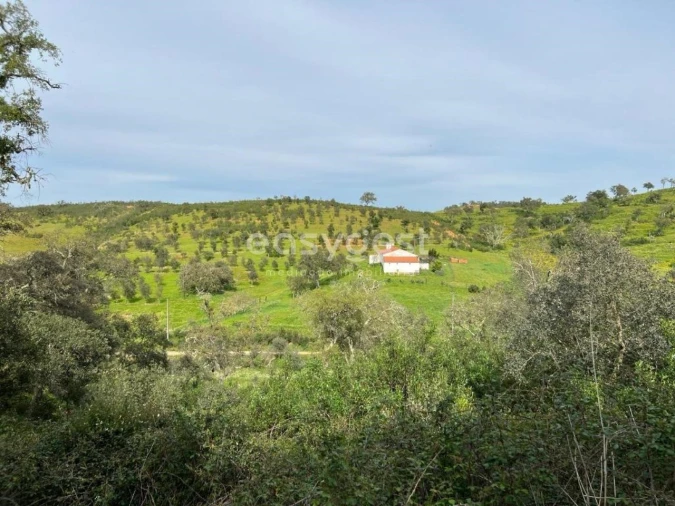 Quinta T2 para Venda em São Martinho das Amoreiras Foto 30