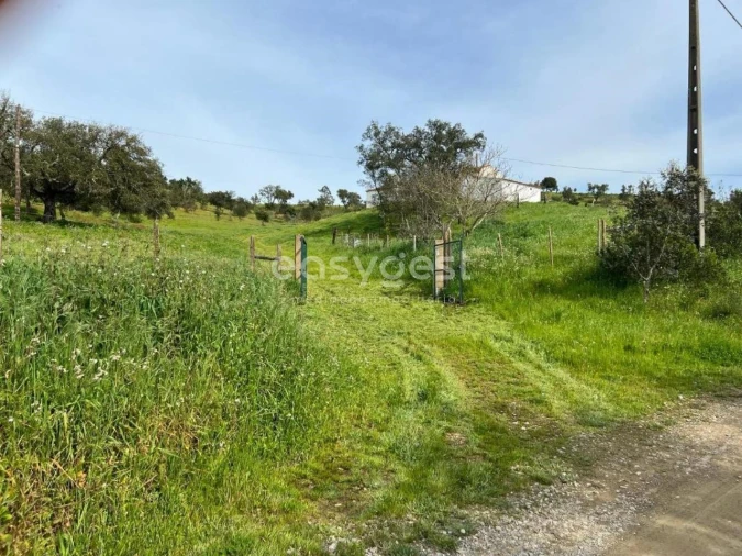 Quinta T2 para Venda em São Martinho das Amoreiras Foto 31