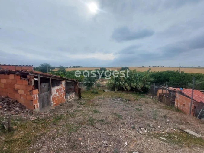 Moradia T1 para Venda em Santa Vitória e Mombeja Foto 4