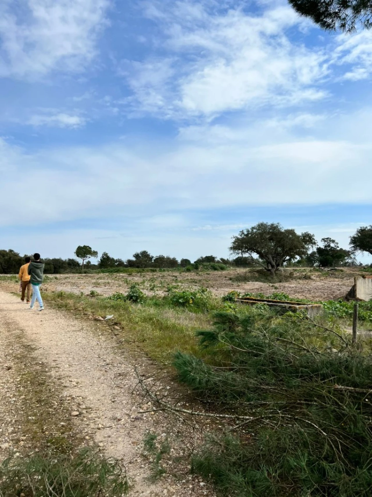 Quinta T9 para Venda em Santa Maria do Castelo e Santiago e Santa Susana Foto 11