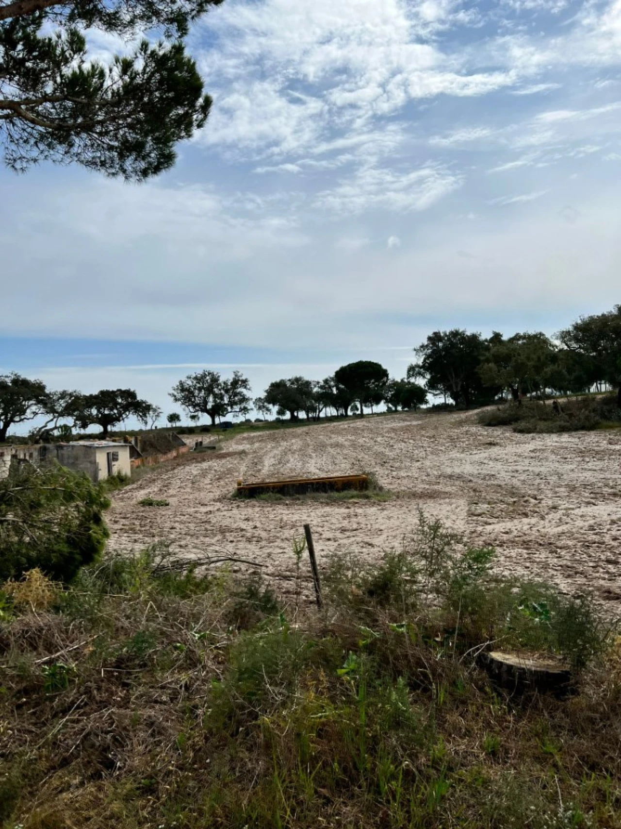 Quinta T9 para Venda em Santa Maria do Castelo e Santiago e Santa Susana Foto 12